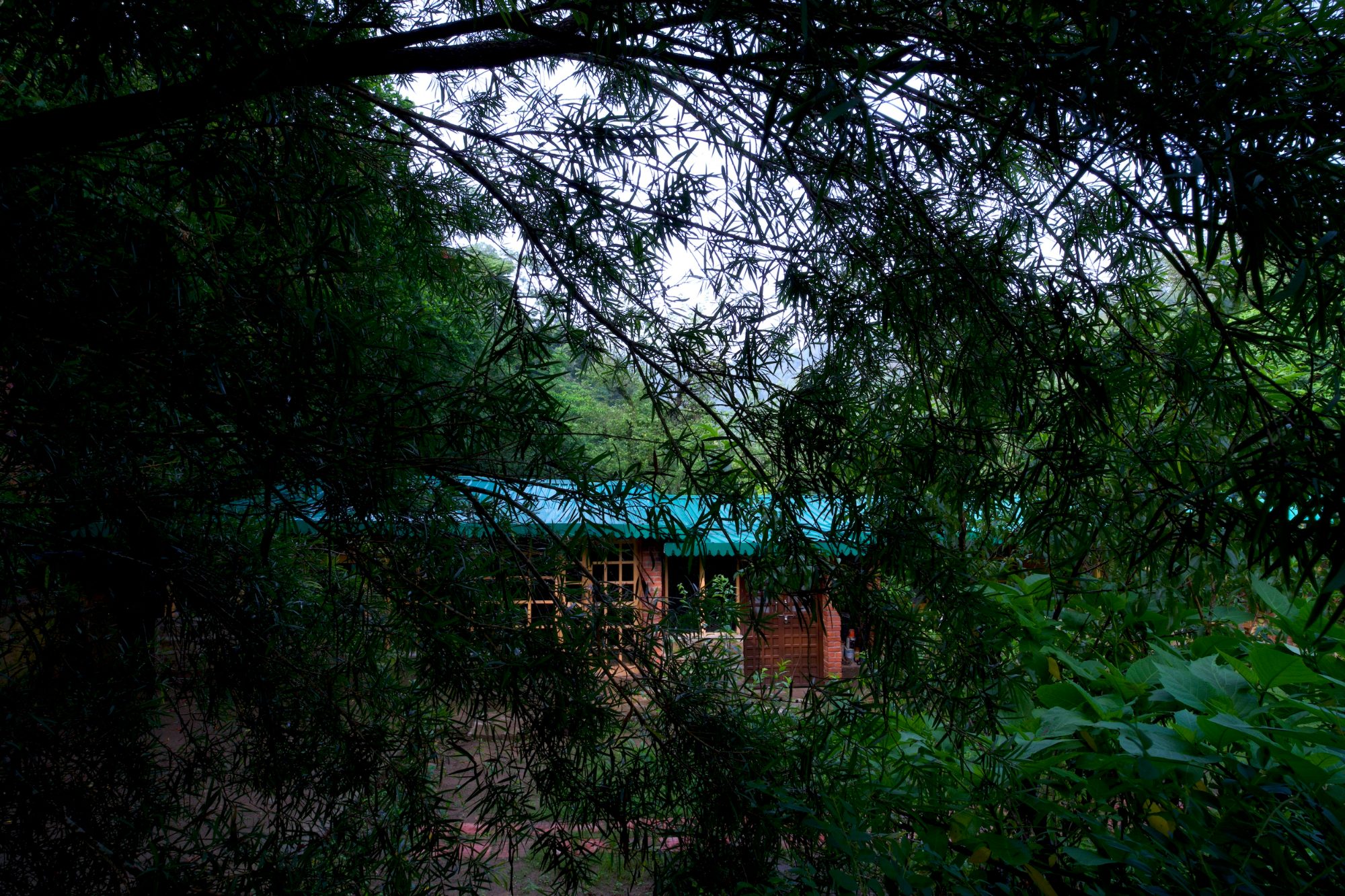 The Birdsong Eco Resort