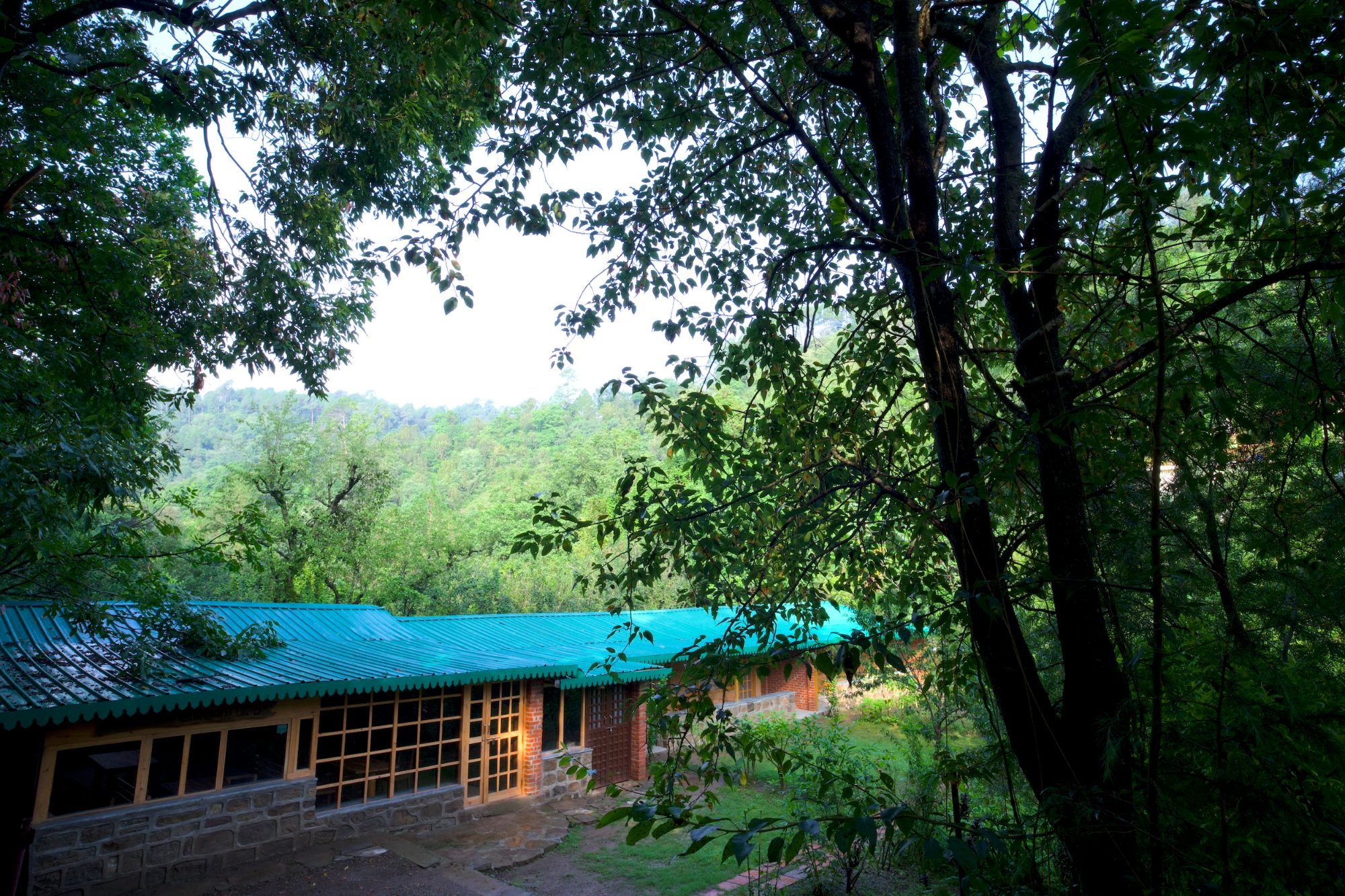 The Birdsong Eco Resort