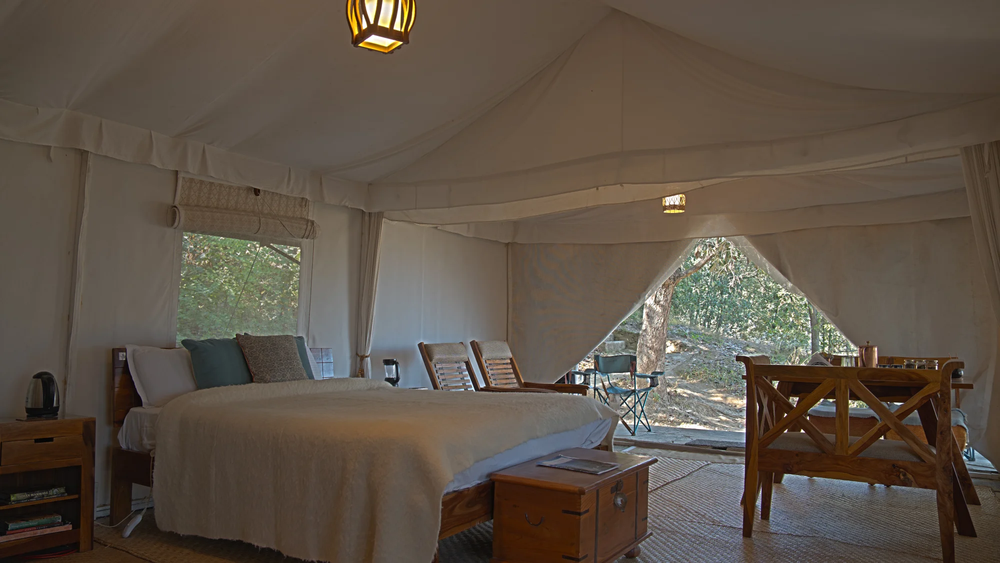 Eco Glamping in the forest