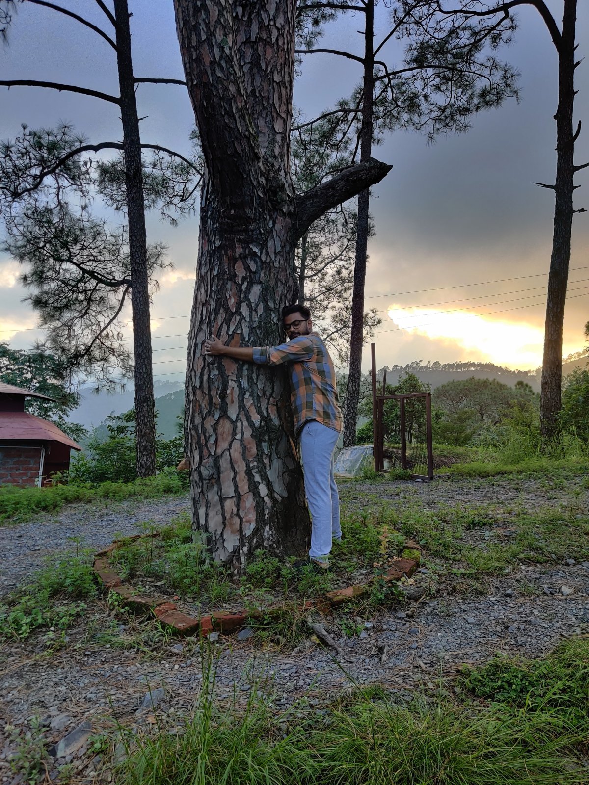Forest Bathing