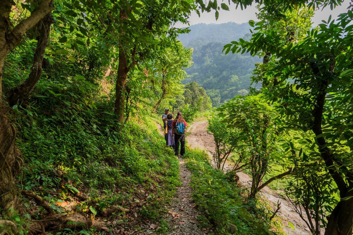 Guided Nature Walk