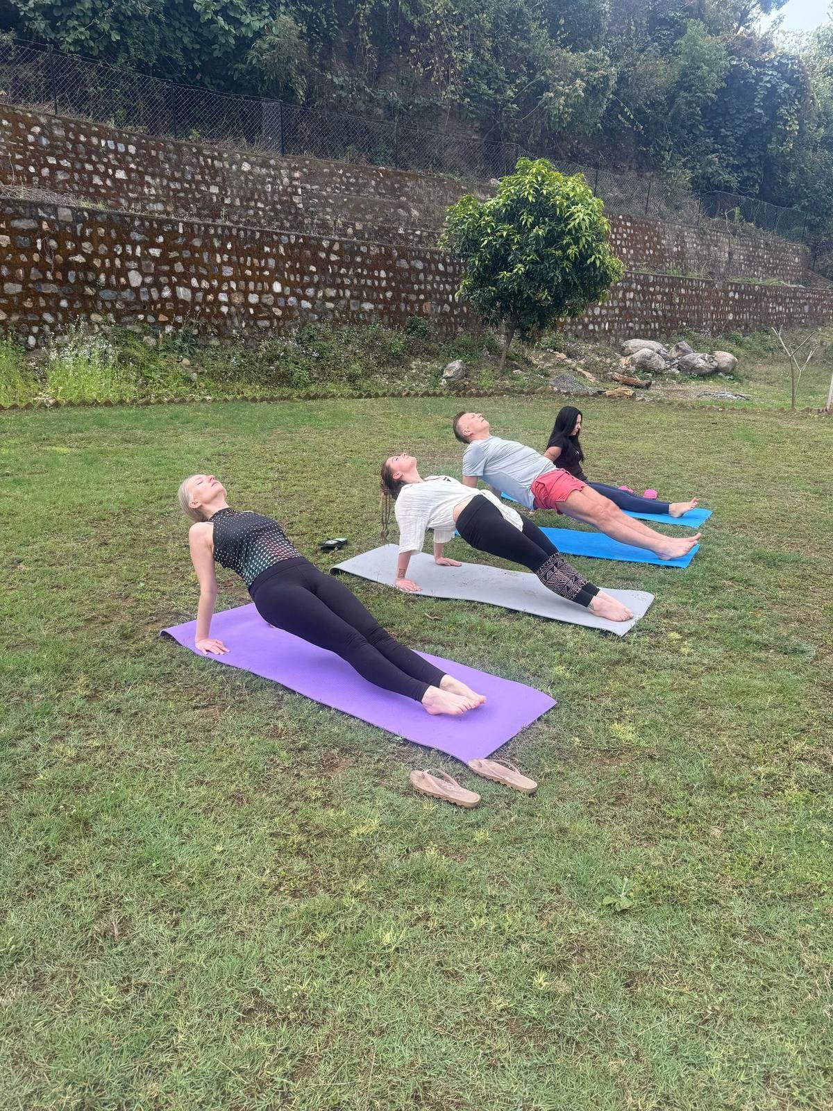 Yoga & Meditation