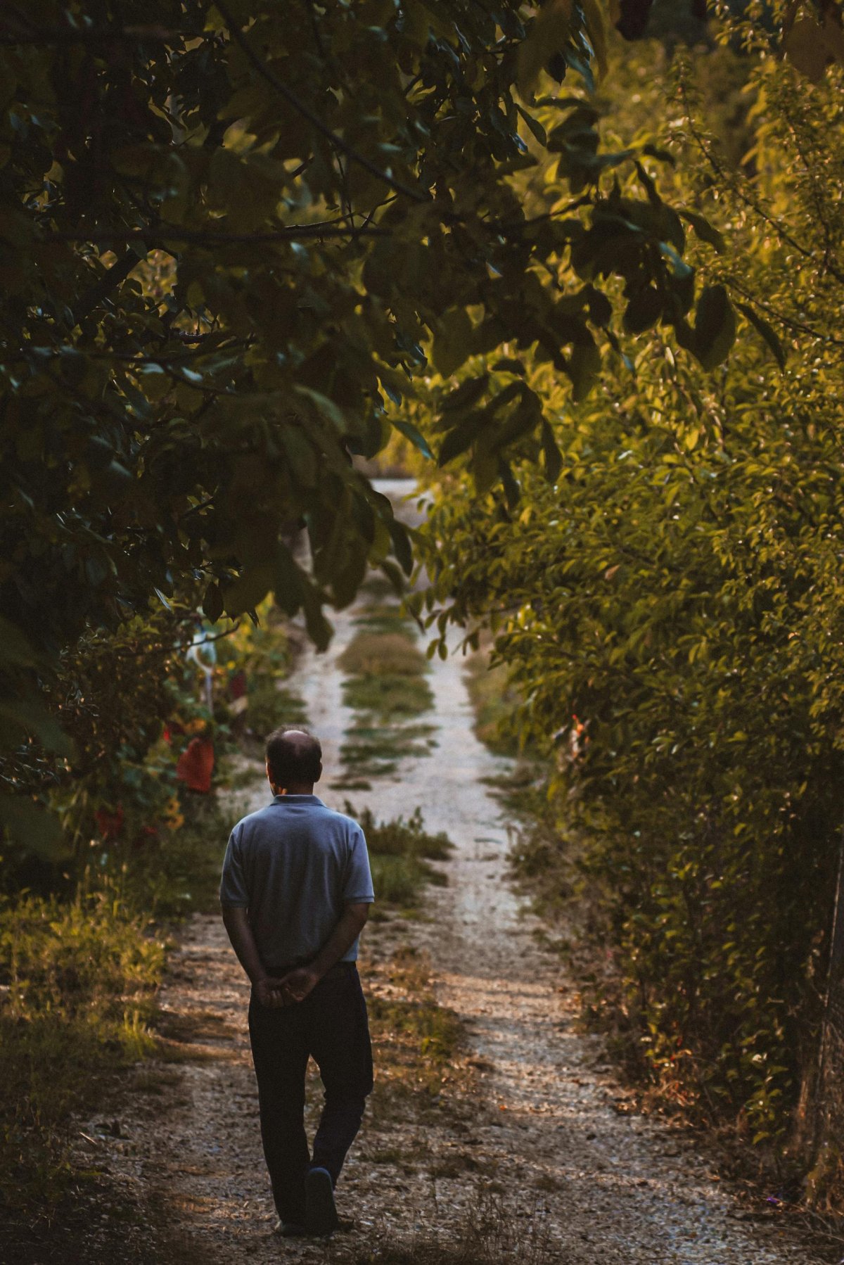 Nature Hike