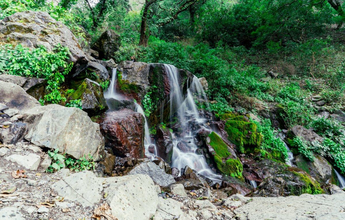 Hidden Waterfall Trek 