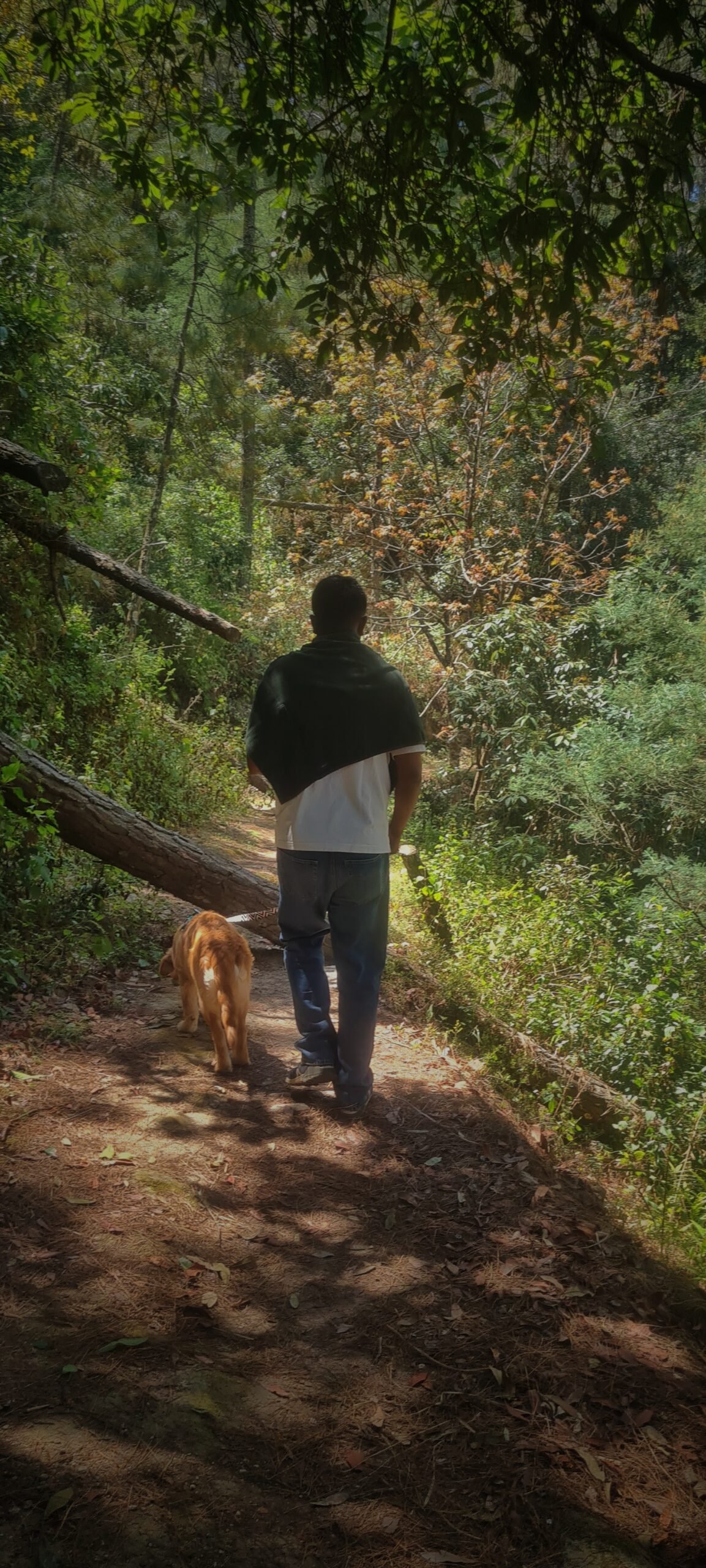 Nature Walk