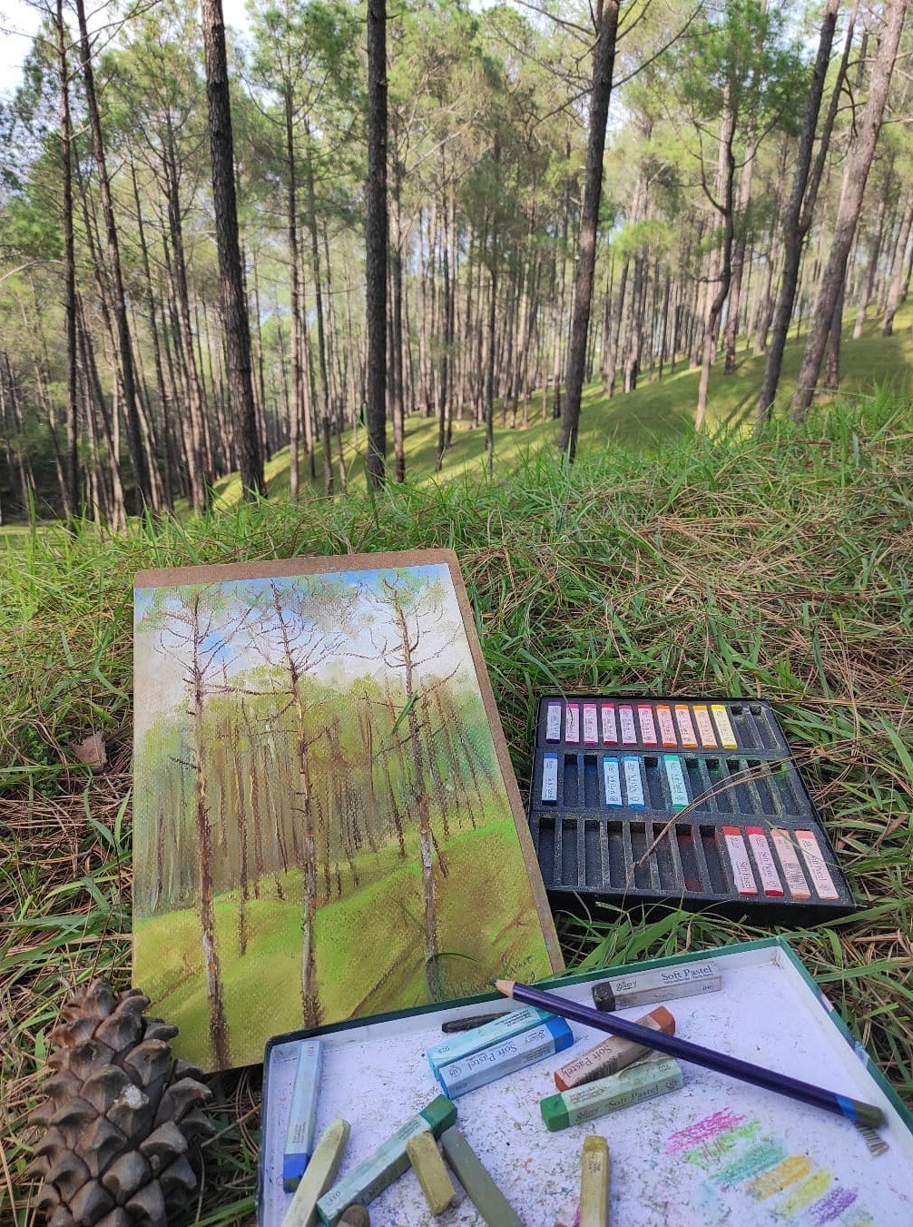 Art in the Wilderness